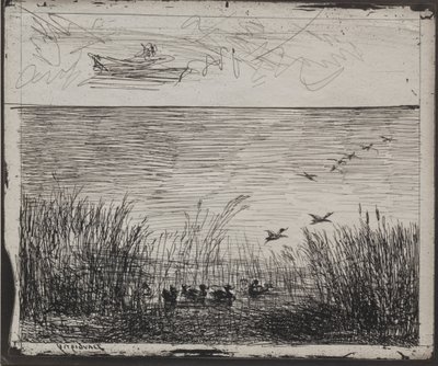 鸭子沼泽，原版1862年，1921年印刷。 作者 查尔斯·弗朗索瓦·杜比尼