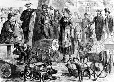 来自Harpers Weekly，pub的纽约市政厅公园的逮捕者。 1867年 作者 查尔斯·格林