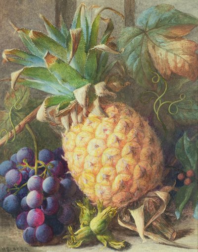 菠萝和葡萄的静物画 作者 Charles H. Slater