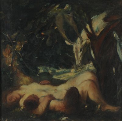 研究睡眠木若虫，1903-06 作者 查尔斯·哈斯伍德·香农