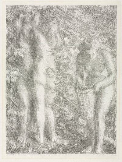 1892年夏天。 作者 查尔斯·哈斯伍德·香农