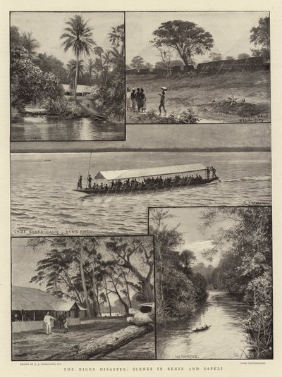 尼日尔灾难，贝宁和萨佩利的场景 作者 Charles J. Staniland