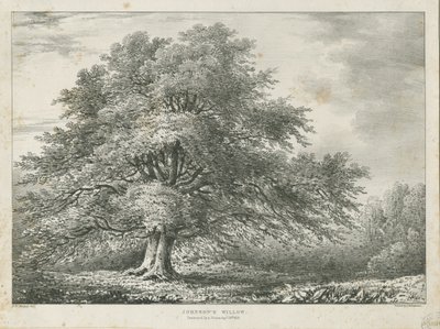 利奇菲尔德-[“约翰逊博士”]柳树：石版画，[1789-1850] 作者 查尔斯·约瑟夫·赫尔曼德尔