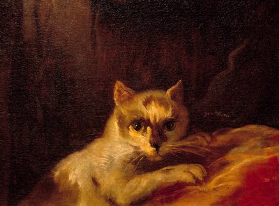 Mademoiselle de Charolais 细节代表猫。 查尔斯·约瑟夫·纳图尔 (Charles-Joseph Natoire) 的绘画 作者 查尔斯·约瑟夫·纳托尔