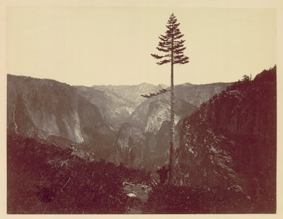 Mariposa Trail的优胜美地山谷c。 1865年。 作者 查尔斯·莱安德·杂草