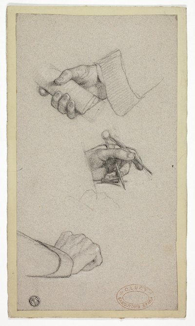 手的研究 作者 查尔斯·露西