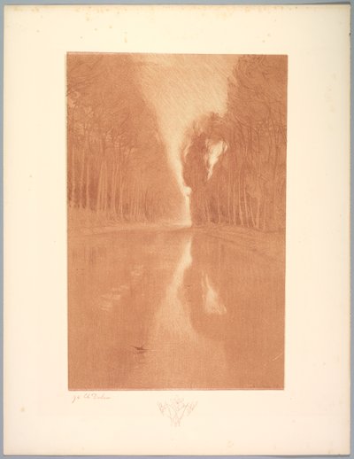 景观套件：景观，板块2，笔记，星光花，1892-1893年。 作者 查尔斯·玛丽·杜拉克