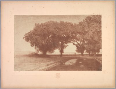 景观套件：景观，第8板，注意，紫罗兰，1892-1893年。 作者 查尔斯·玛丽·杜拉克