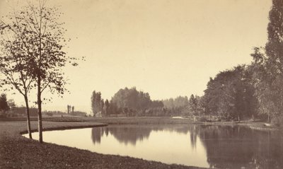 布洛涅森林，1858 年（照片） 作者 查尔斯·马维尔
