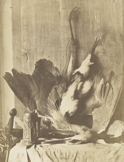 游戏静物，c.1853-55（涂盐纸） 作者 查尔斯·马维尔