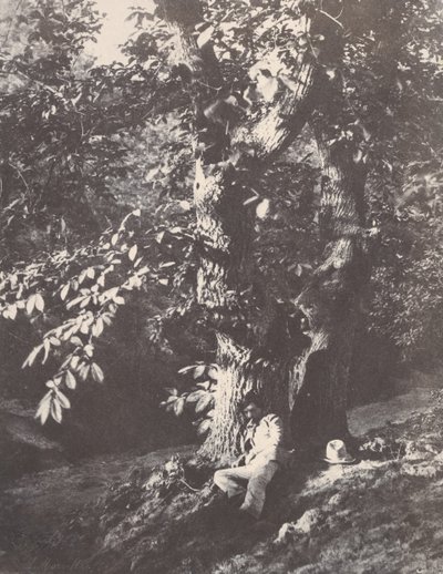 躺在栗子树脚下的男子，1850-53年。 作者 查尔斯·马维尔