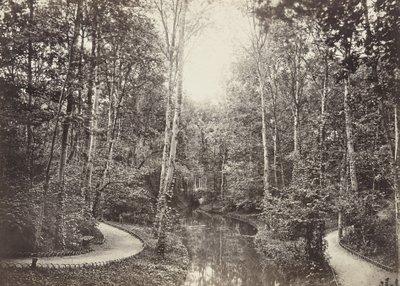 母鹿的池塘，布洛涅Bois de Boulogne 作者 查尔斯·马维尔