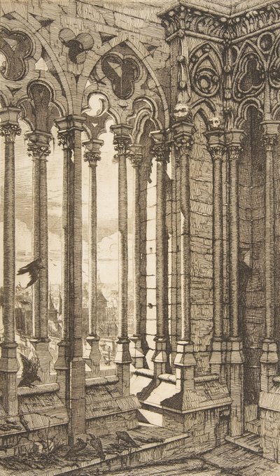 画廊，Nôtre-Dame大教堂，巴黎，1853年。 作者 查尔斯·梅里昂