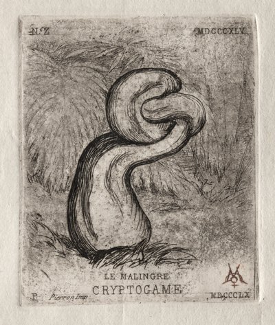 The Sickly Cryptogam，1860年。 作者 查尔斯·梅里昂