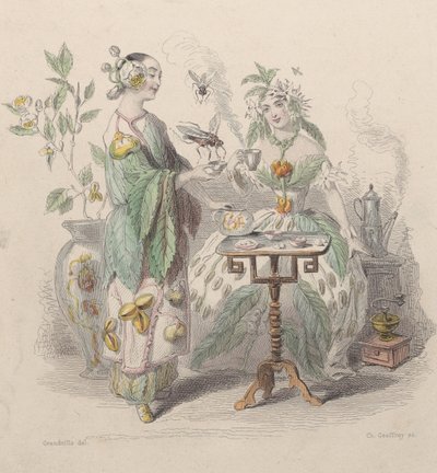 Thé和Café，来自Les Fleurs Animées，1847年。 作者 查尔斯·米歇尔·杰弗罗伊
