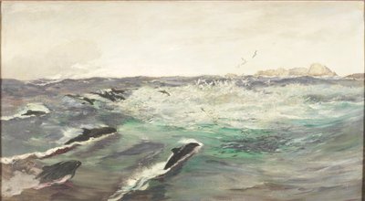 海豚追逐鲭鱼 作者 查尔斯·纳皮尔·海米