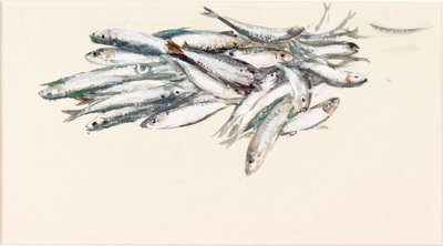 鱼的研究（体彩和纸上水彩） 作者 查尔斯·纳皮尔·海米