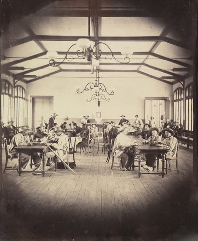 文森的帝国导弹，游戏室，1858年至1859年。 作者 查尔斯·内格雷