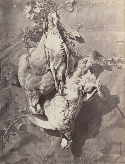 [静物与野鸟]，1859年。 作者 查尔斯·内格雷