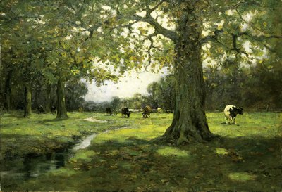 梅朵溪，约1912年。 作者 查尔斯·P·组