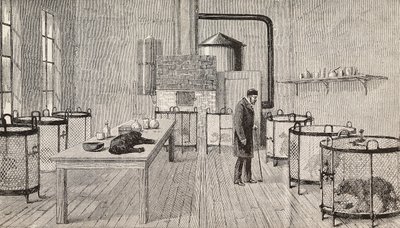 法国巴黎，法国化学家和生物学家路易-巴斯德（1822-1895 年）实验室内笼中的狗，《意大利画报》第 12 年第 46 期 11 月 15 日的版画 作者 查尔斯·保罗（后）雷诺阿德