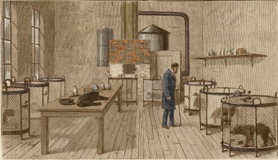 路易斯·巴斯德实验室内的笼子里的狗 作者 查尔斯·保罗·雷诺德