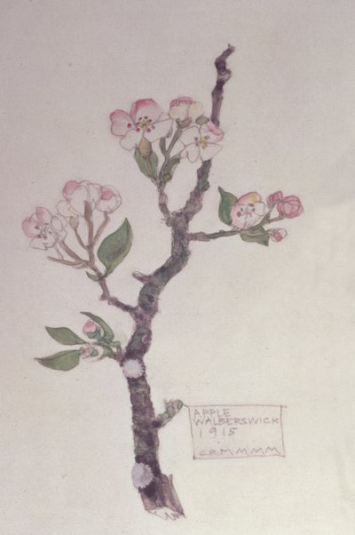 Apple，Walberswick，1915年（铅笔和wc） 作者 查尔斯·雷尼·麦金托什