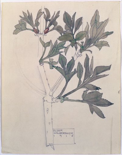 Elder，Walberswick，1915年（wc和铅笔在纸上） 作者 查尔斯·雷尼·麦金托什