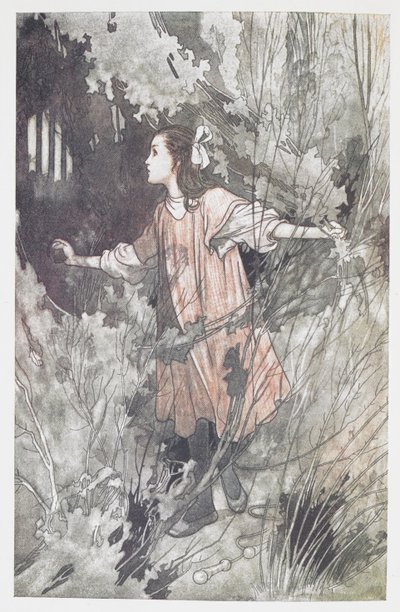 玛丽-伦诺克斯 作者 Charles Robinson