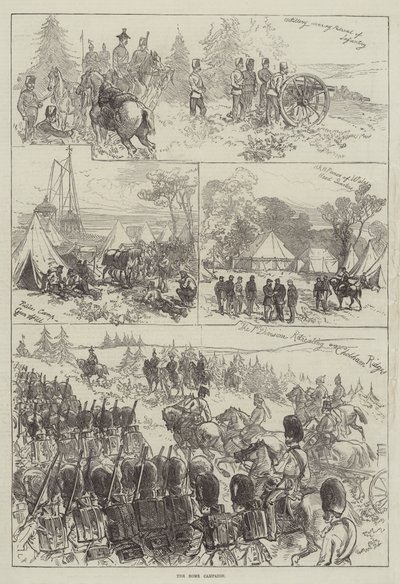 家庭运动 作者 Sir John Charles Robinson