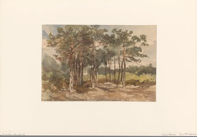 Driebergen 附近树林中的树丛 作者 查尔斯·罗森（Charles Rochussen）