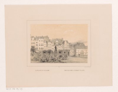 鹿特丹 Grotemarkt 的景观 La place d