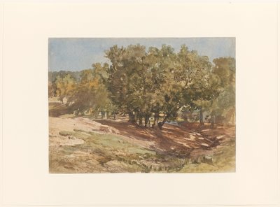 Zijpenberg 山上的 Beekhuizen 景观 作者 查尔斯·罗森（Charles Rochussen）