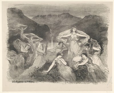 芭蕾舞剧《Zélie》或《魔法面纱》中的场景 在阿姆斯特丹 Stadsschouwburg 演出的芭蕾舞剧和戏剧的公告（系列名称） 作者 迪佩林克公司