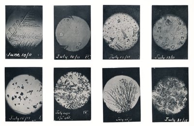 裂缝中的冰晶"，1911年6-7月，1913年 作者 查尔斯·赖特