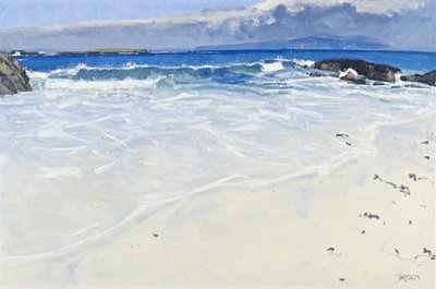 暴风雨之后，艾奥纳，2010 年（布面油画） 作者 查尔斯·辛普森