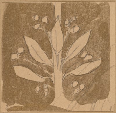 边界设计的研究 作者 查尔斯·斯普拉格·皮尔斯