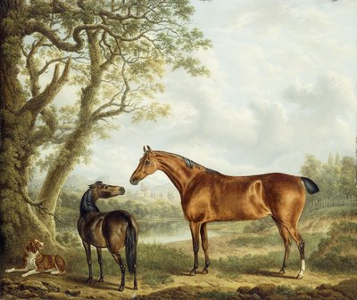 猎人和西班牙人在广阔的风景中，1827年 作者 查尔斯·汤恩