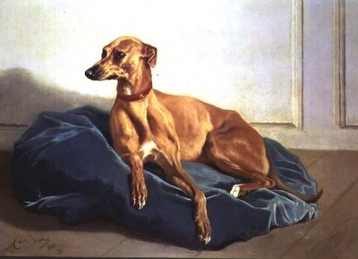 猎犬的研究 作者 查尔斯·维拉