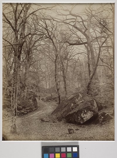 枫丹白露，c.1870（白蛋白印刷） 作者 查尔斯·维克多·法明