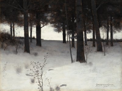 冬天的森林，1886年。 作者 查尔斯·沃伦·伊顿