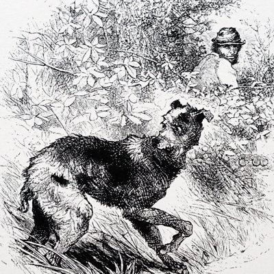 A poacher with his lurcher 作者 查尔斯·怀姆珀