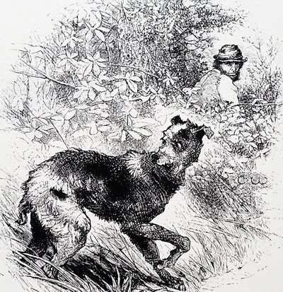 A poacher with his lurcher 作者 Charles Whymper