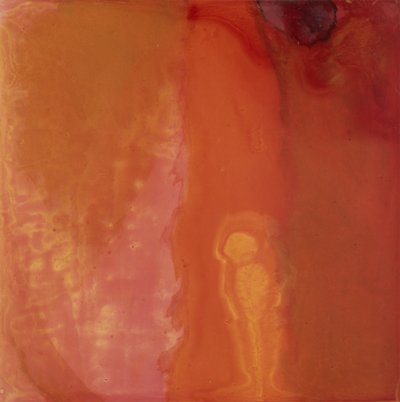 芝士鱼，1997年（石膏板上的油和釉） 作者 Charlotte Johnstone