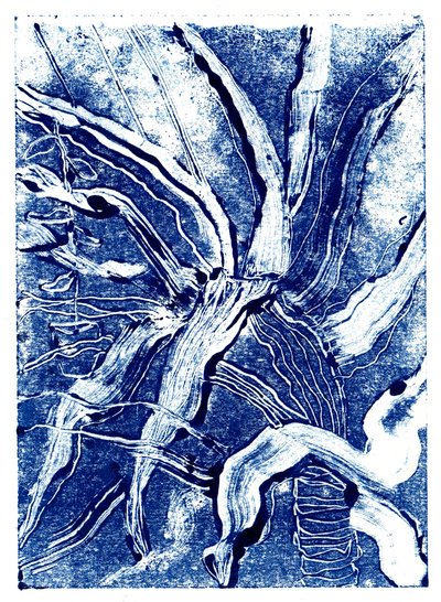 Inky Plants no.2, 2019 (monoprint) 作者 夏洛特奥尔