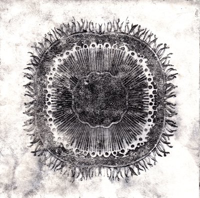 植物细胞，2019年（干点蚀刻）。 作者 夏洛特奥尔