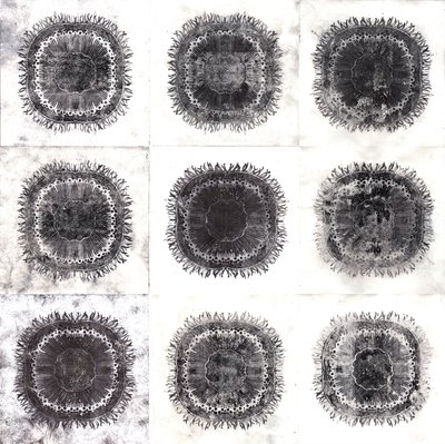 植物细胞，2019年（干点蚀刻）。 作者 夏洛特奥尔