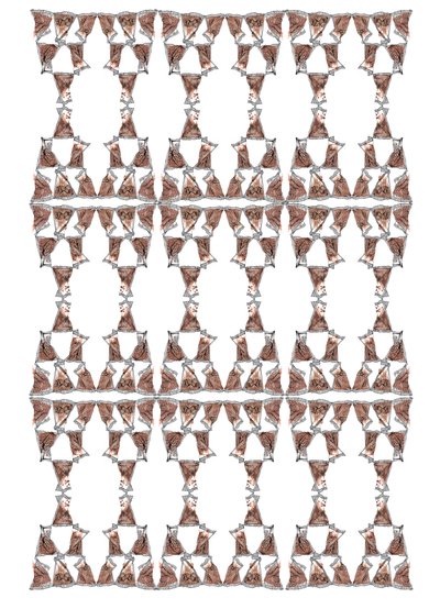 茶叶包装设计，2018（水墨和水彩画） 作者 夏洛特奥尔