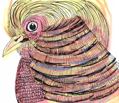热带鸟，2018（钢笔、墨水和水彩画） 作者 夏洛特奥尔