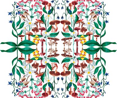 野生植物，2015年 丙烯酸 作者 夏洛特奥尔